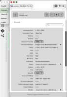 accessibility inspector for demo app NOT showing language attribute.png