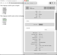 accessibility inspector showing language attribute.png