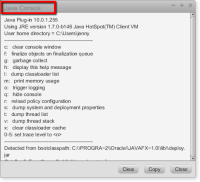 javaconsole.png