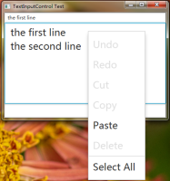 textinputcontrol-contextmenu.png